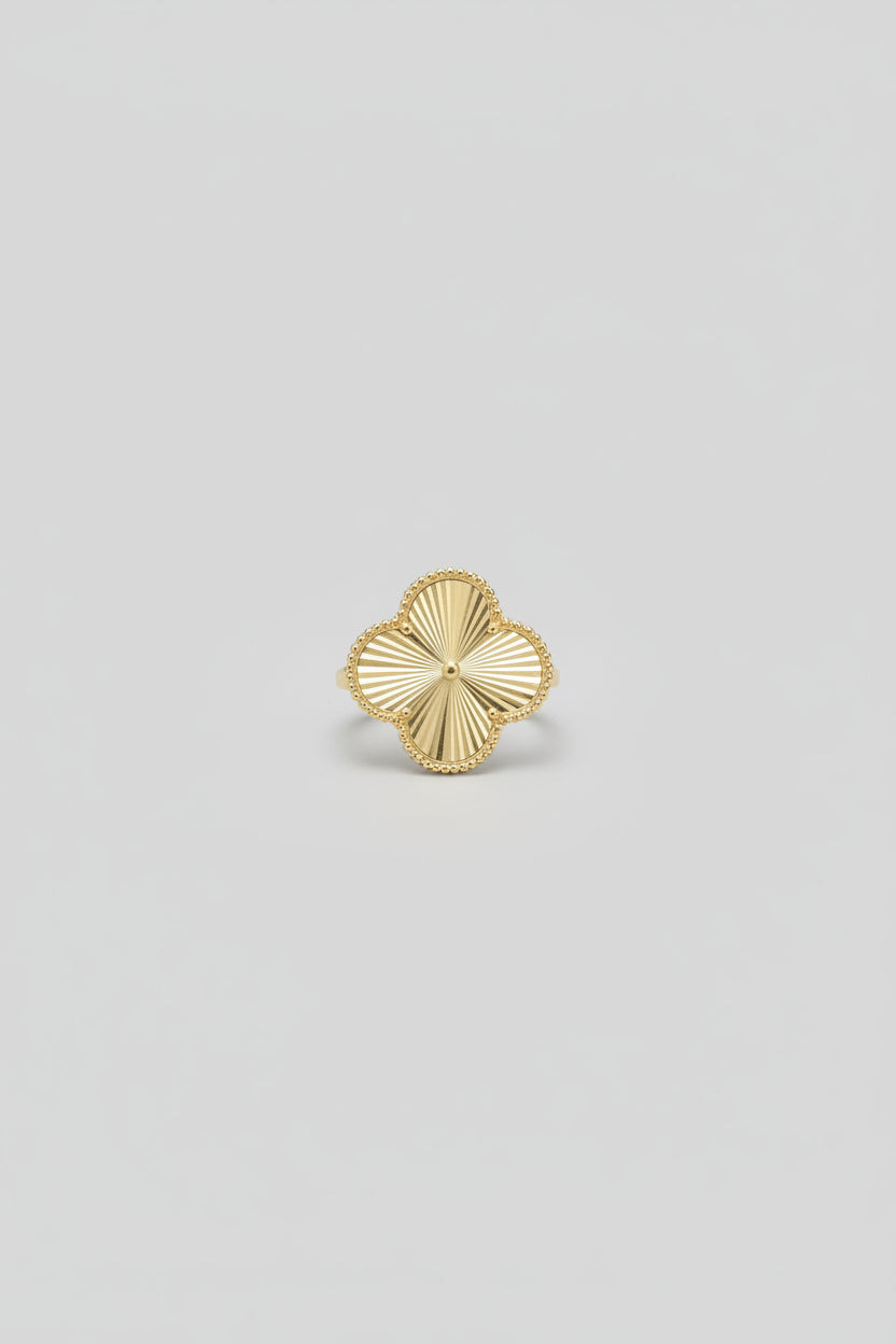 Anillos Size 6/2 para mujer