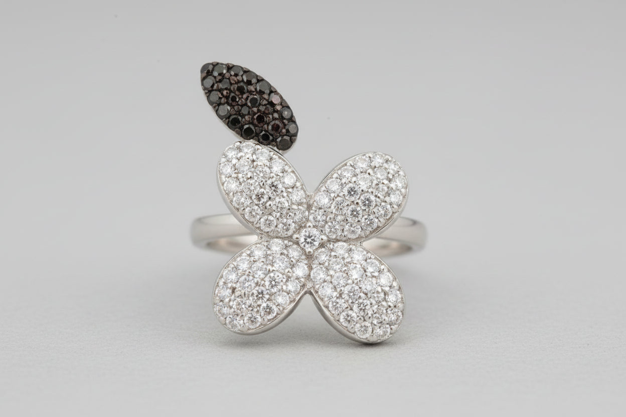 Anillos Size 8 para mujer